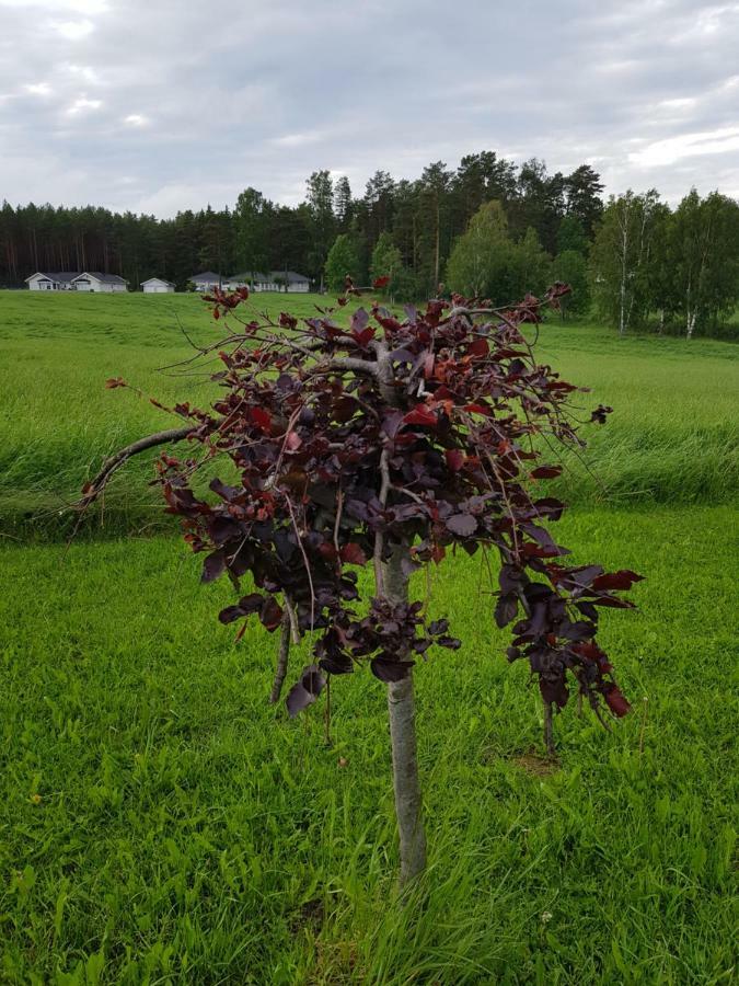 Onnerud Gardshotell Karlstad Bagian luar foto